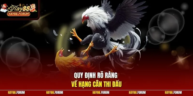 Quy định rõ ràng về hạng cân thi đấu
